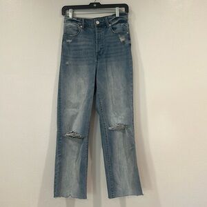 BLANKNYC The Baxter Ribcage Straight Leg Organic Cotton Button Fly Jeans Size 28